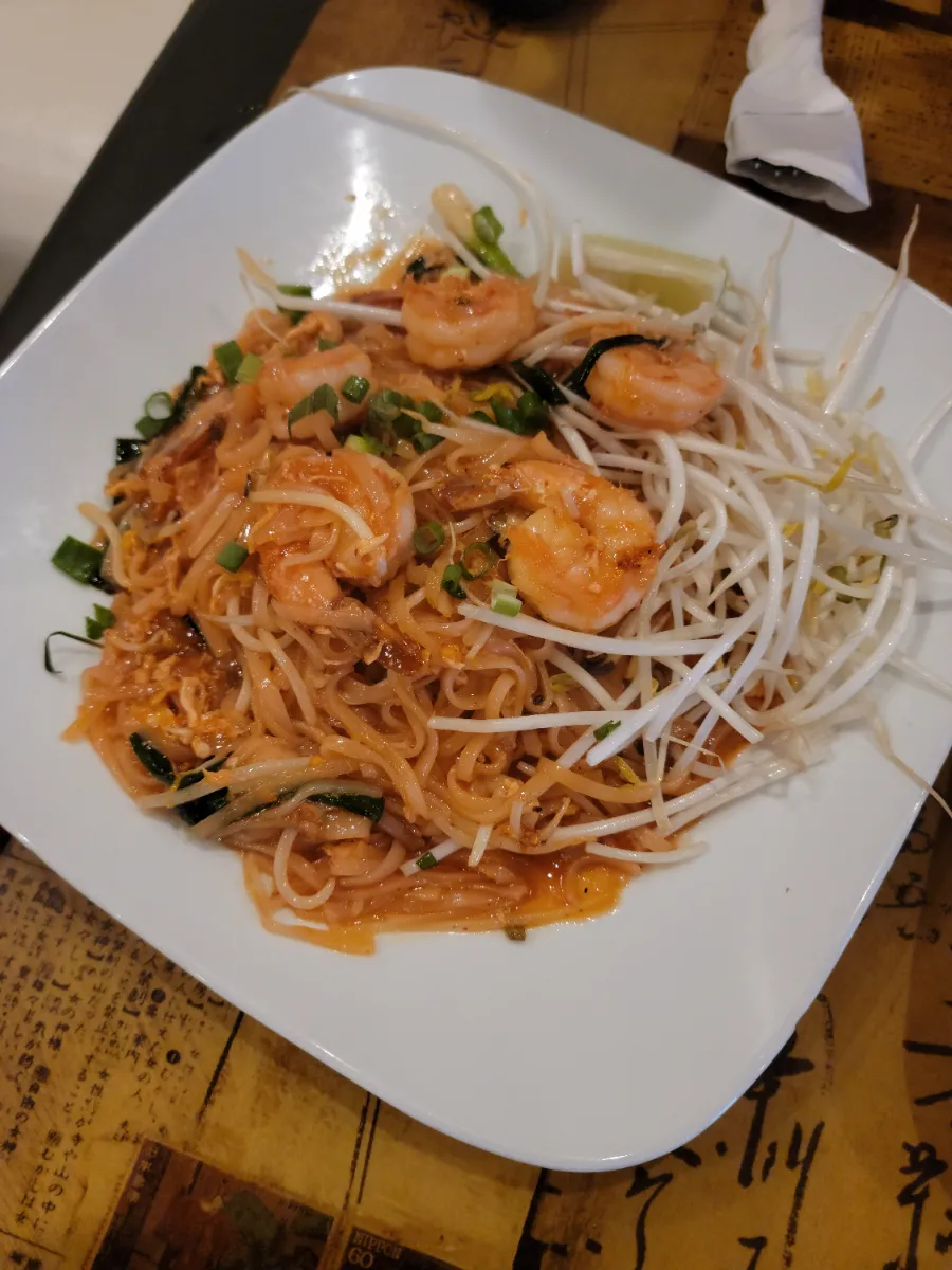 10 Best Thai Drunken Noodles in Florida